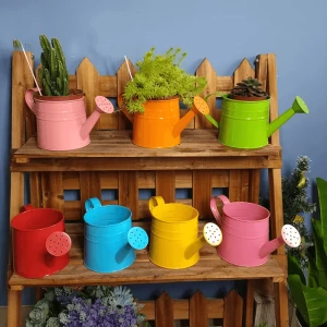 Garden watering can wholesale custom small mini cute tin galvanized watering can flowerpot planter