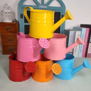 Garden watering can wholesale custom small mini cute tin galvanized watering can flowerpot planter