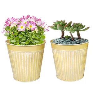 Wholesale Personalized metal flower pot planter galvanized vertical stripes small bucket for flower garden meaty plant