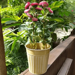 Wholesale Personalized metal flower pot planter galvanized vertical stripes small bucket for flower garden meaty plant