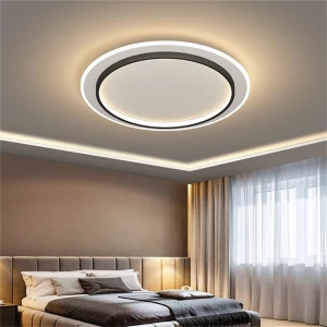 China Manufacturer Modern Led Aisle Ceiling chandelier Cloakroom Corridor Balcony Foyer Acrylic Ceiling Lighting Modern