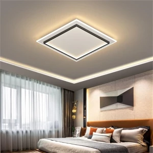 China Manufacturer Modern Led Aisle Ceiling chandelier Cloakroom Corridor Balcony Foyer Acrylic Ceiling Lighting Modern