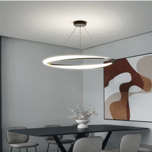 Tpstar Lighting New Modern Circular Led Energy-saving Dining Room And Living Room Pendant Lights - Buy Ceiling Lamp,Modern Lamp,Light Fixtures Product on Alibaba.com