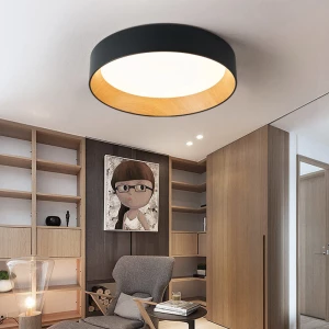 Modern Linear Aluminum Black Ceiling Hanging Lamp Commercial Home Office Lighting Led Pendant Light - Buy Iron Hanging Pendant Light For Hotel Kitchen,Hanging Pendant Lights For Living Room Restaurant,Linear Led Pendant Light Product