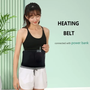 Health and Beauty Led Light Physical Therapy Weight Loss Thermal Belt for Body Shape Slimming Waist Band