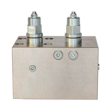 Customized Dual Counterbalance Valve Block-HongDa Hydraulics Co., Ltd.