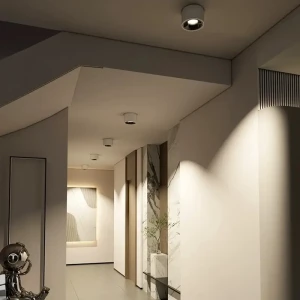 360 gradi ruotabile 7w 10w 12w 15w ha condotto la luce del punto di soffitto montata di superficie Downlight del soffitto